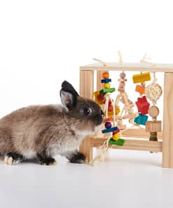 Oxbow Enriched Life - Play Table Toy for Small Animals