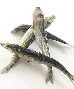 Freeze Dry Australia Sardines Freeze