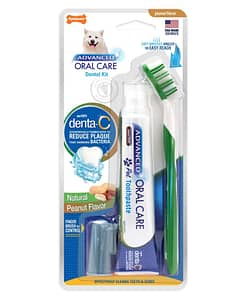 Nylabone Advanced Oral Care Natural Dog Dental Kit - Peanut 2.5 oz