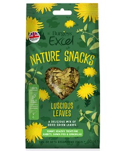 BurgessExcel Luscious Leaves Treats for Small Animals 60g