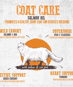 Absolute Holistic Grain Free Dry Cat Food - Coat Care