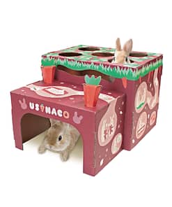 AniMan Playing House For Rabbit