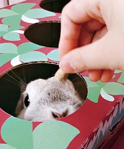 AniMan Playing House For Rabbit