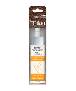 TropiClean Enticers Teeth Cleaning Gel for Dogs - Honey Marinated Chicken Flavor 2oz
