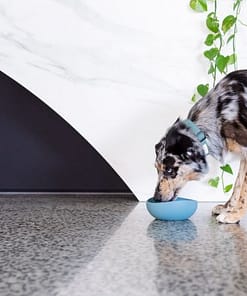FuzzYard Life Silicone Bowl - French Blue