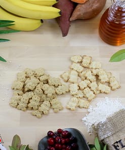 Grandma Lucy's Organic Pumpkin Oven Baked Dog Treats