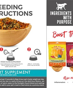 Grandma Lucy's Pumpkin Pouch Skin & Coat Freeze-Dried Dog & Cat Food