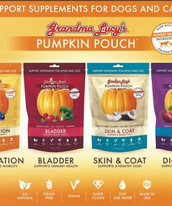 Grandma Lucy's Pumpkin Pouch
