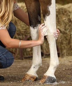 Washbar Horse & Hound Shampoo Bar