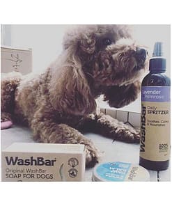 Washbar Daily Spritzer Lavender + Primrose 250ml