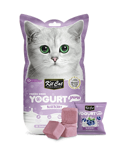 Kit Cat Freeze Dried Yogurt Yums Cat Treat - Blueberry (10pcs)