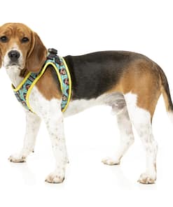 FuzzYard Step-in Dog Harness - Gor-illz
