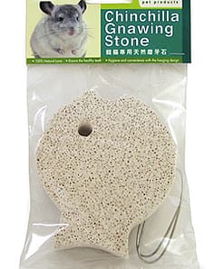 Jolly Chinchilla Gnawing Stone