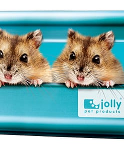 Jolly Cool House for Hamsters