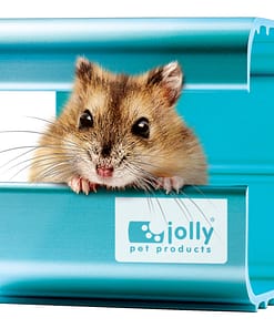 Jolly Cool House for Hamsters