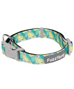 FuzzYard Dog Collar - Bananarama (3 Sizes)