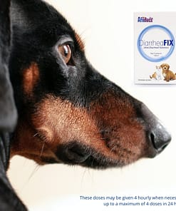 Animedx Diarrheafix for Cats & Dogs 100ml