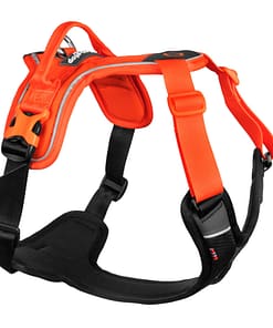 Non-stop Ramble Dog Harness