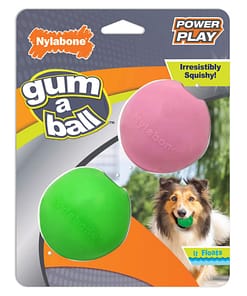 Nylabone Power Play Gum-a-Ball Dog Toy