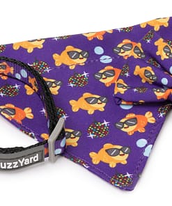 Fuzzyard Cat Fashion Pack - Caturday Night Fever