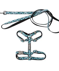 Fuzzyard Cat Walking Set - Wild One - Aqua
