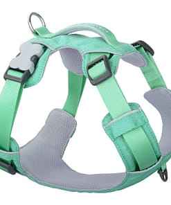 Red Dingo Dog Sport Harness Pastel Green (5 Sizes)