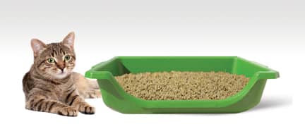 World's Best Lavender Scented Multiple Cat Litter (3 Sizes) - Image 2