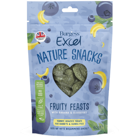 Burgess Excel Fruity Feasts Treats for Small Animals 60g