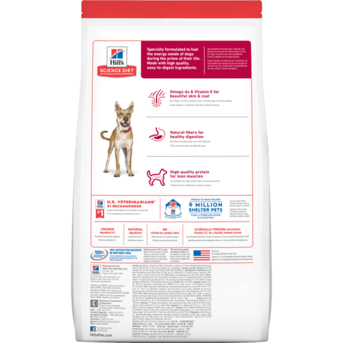 Dog Food CSV Test