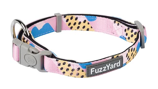 Jiggy Collar