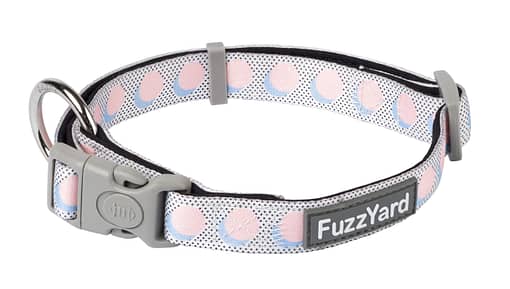 Dippin' Collar