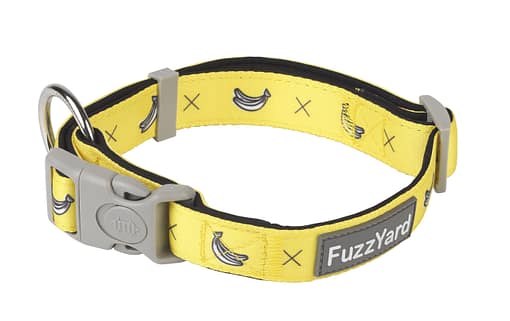 Monkey Mania Dog Collar