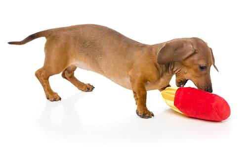 FuzzYard Dog Toy - French Fries