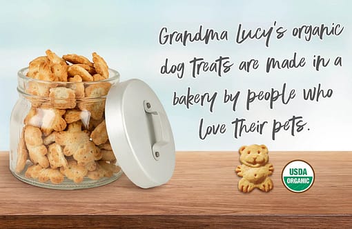 Grandma Lucy's Organic Pumpkin Oven Baked Dog Treats 14oz - Image 6