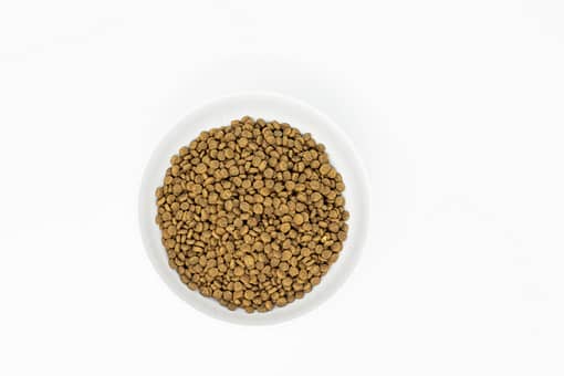 Stella & Chewy's Raw Coated Kibble Cage Free Duck Recipe Freeze Dried Cat Food 5lb - Image 4