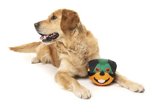 FuzzYard Dog Toy - Doggoforce Rumble