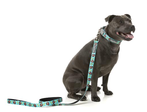 FuzzYard Dog Lead - Gor-illz