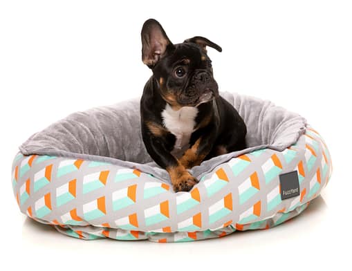 San Antonio Reversible Bed