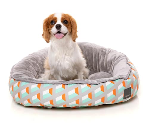 San Antonio Reversible Bed