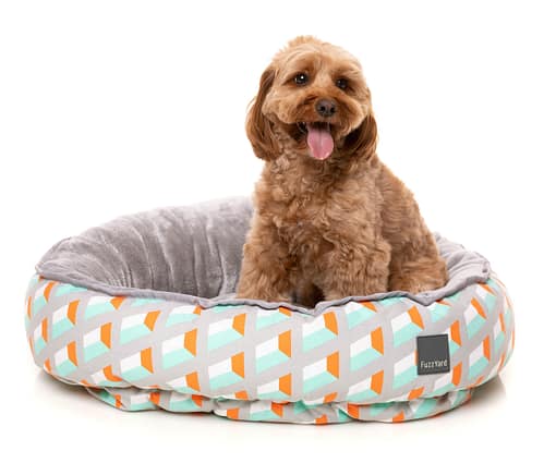 San Antonio Reversible Bed