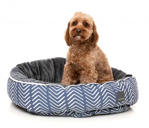 Sacaton Reversible Bed