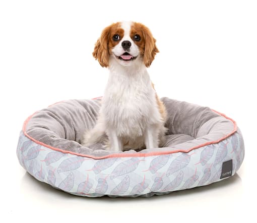 Paia Reversible Bed