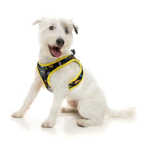 FuzzYard Step In Harness - Bel Air