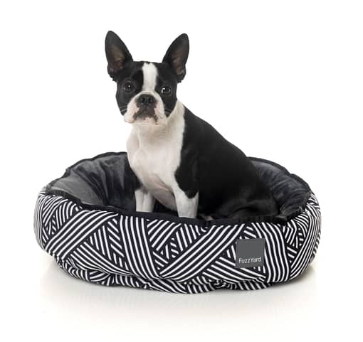 Northcote Reversible Bed