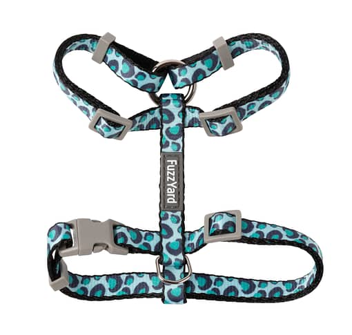 Fuzzyard Cat Walking Set - Wild One - Aqua - Image 2