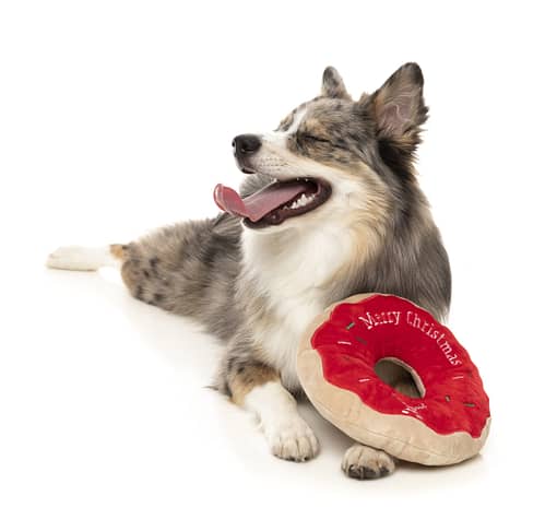 FuzzYard Howlidays Plush Dog Toy - Doh Doh Donut
