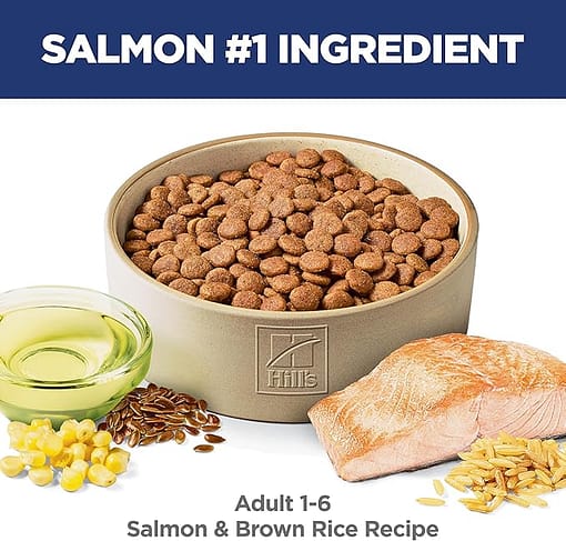 Hill's Science Diet Canine Adult Salmon & Brown Rice Recipe Dry Dog Food (2 Sizes) - Image 4