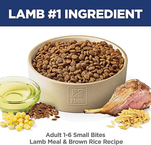 Hill's Science Diet Adult Small Bites Lamb Meal & Brown Rice Recipe Dry Dog Food (3 Sizes) - Image 4