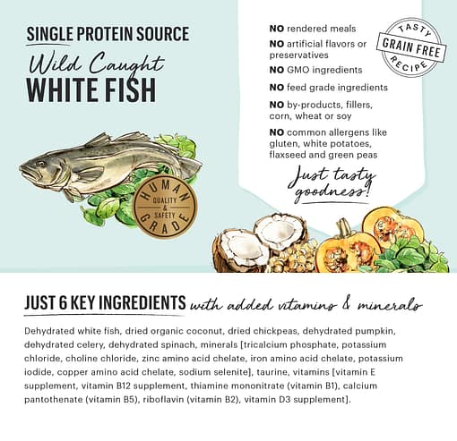 The Honest Kitchen Dehydrated Limited Ingredient Dog Food Fish (2 Sizes) - Image 6