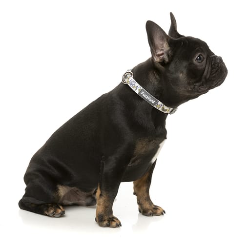 FuzzYard Dog Collar - Go Bananas